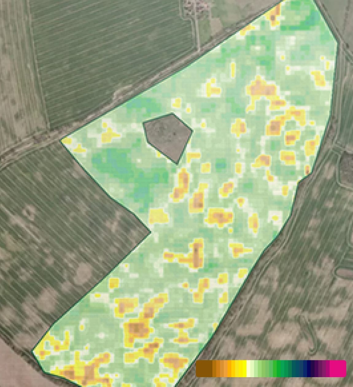 Vegetation index map over a crop field
